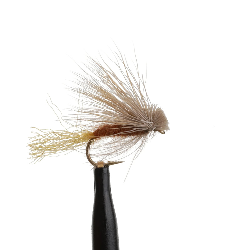 X-Caddis Brown