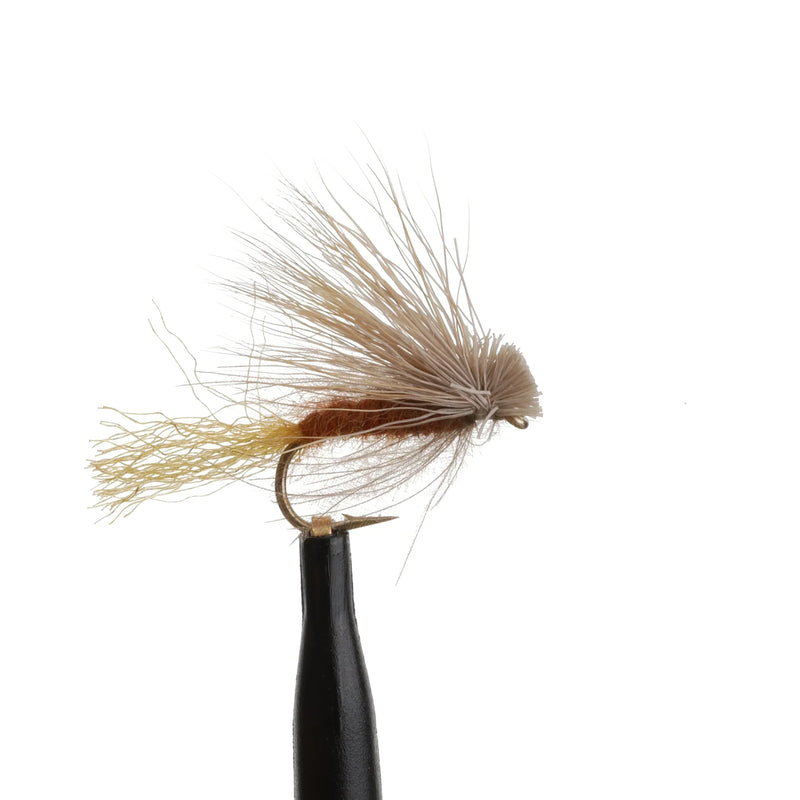 X-Caddis Brown