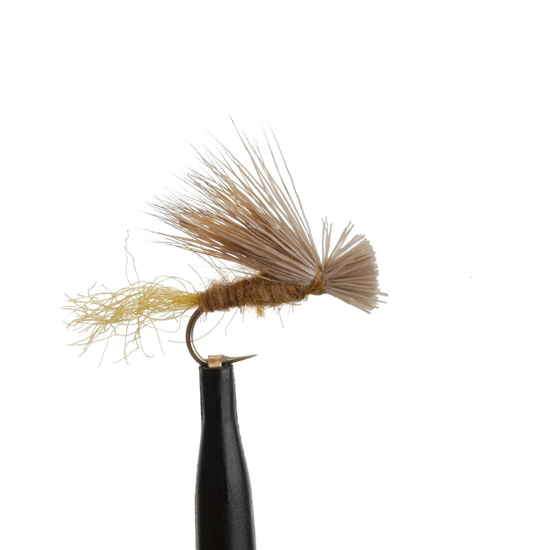X-Caddis Tan