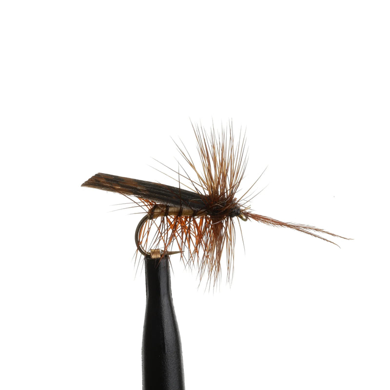 Tent-Wing Caddis Tan