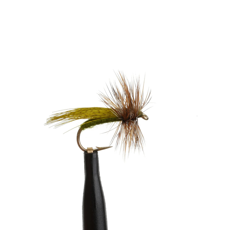 Spent Partridge Caddis Olive