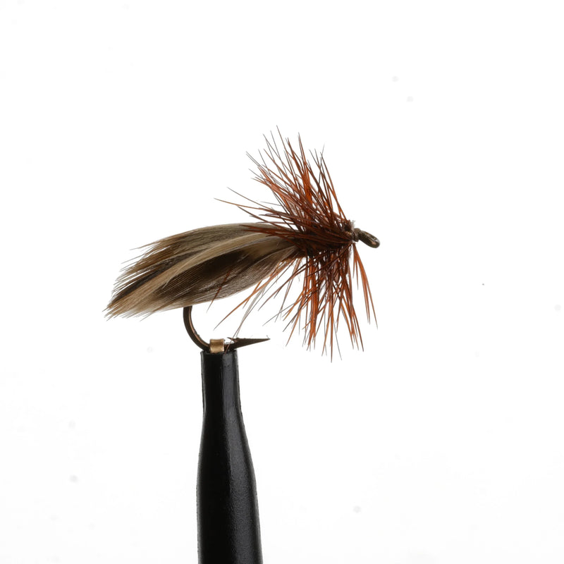 Europea-12 Brown