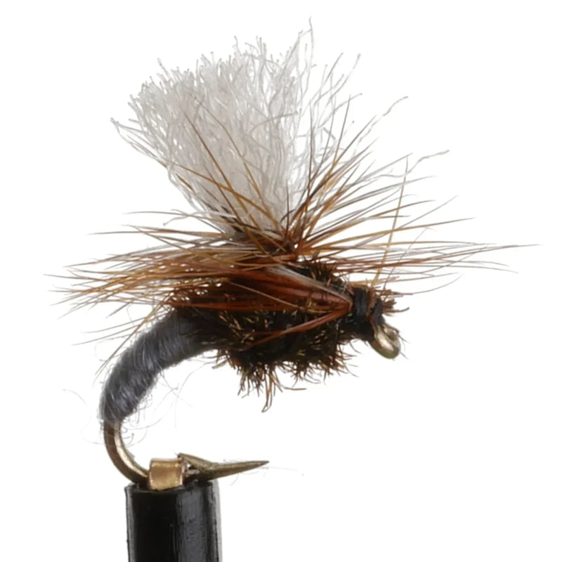 Klinkhammer Adams