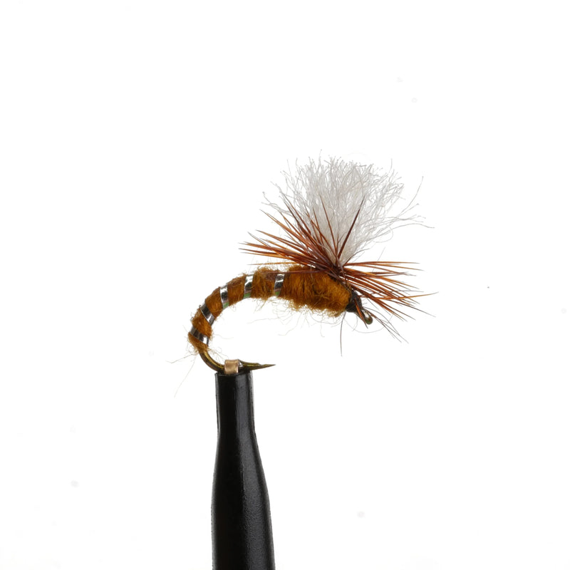 Klinkhammer Brown