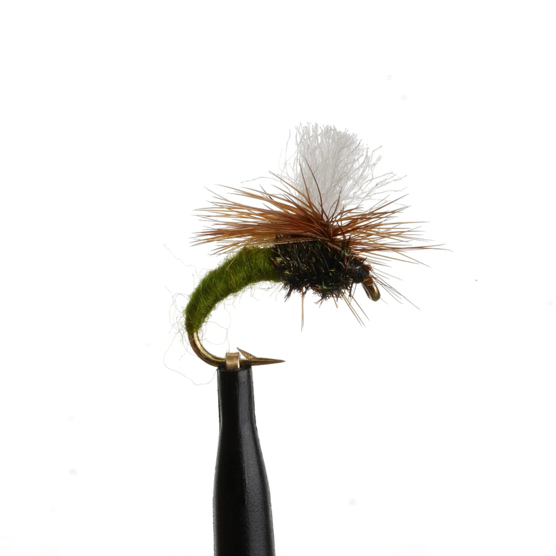 Klinkhammer Olive