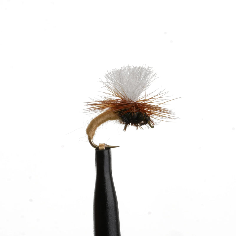 Klinkhammer Tan