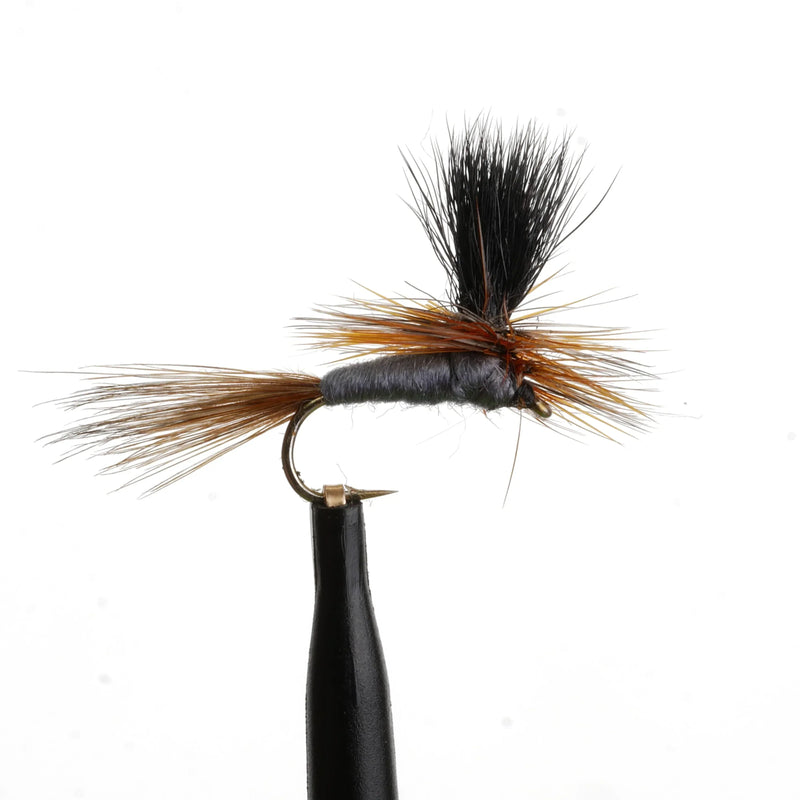 Adams Para Black-Post