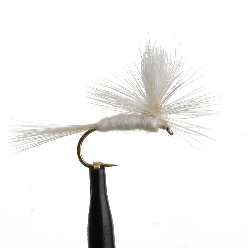 Light Cahill Parachute