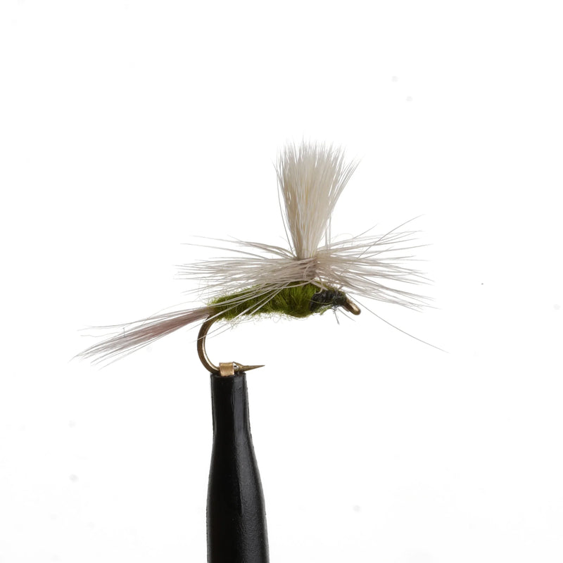 Parachute Blue Wing Olive