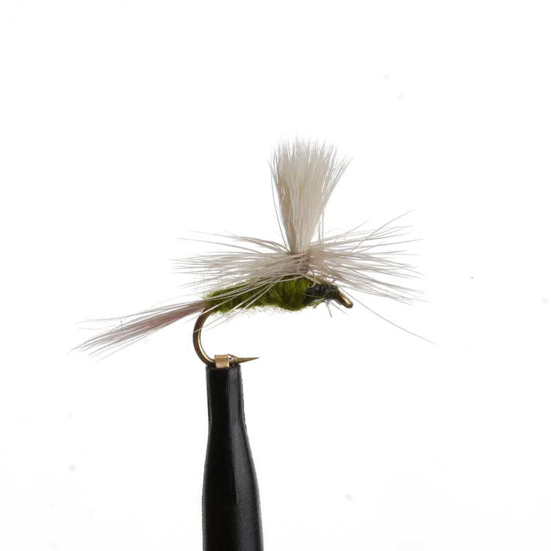 BWO Para Natural