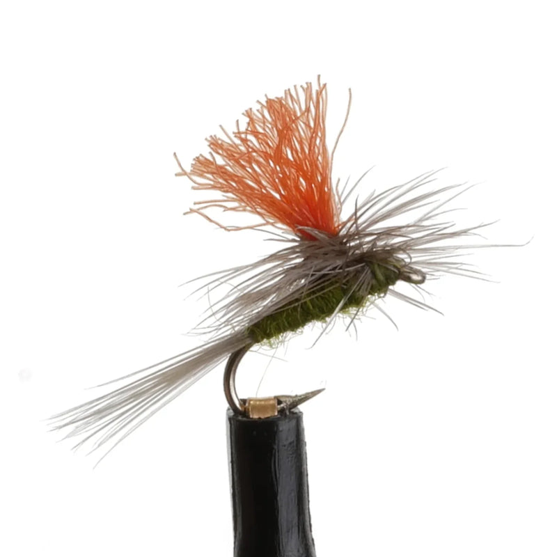 Hi-Vis BWO