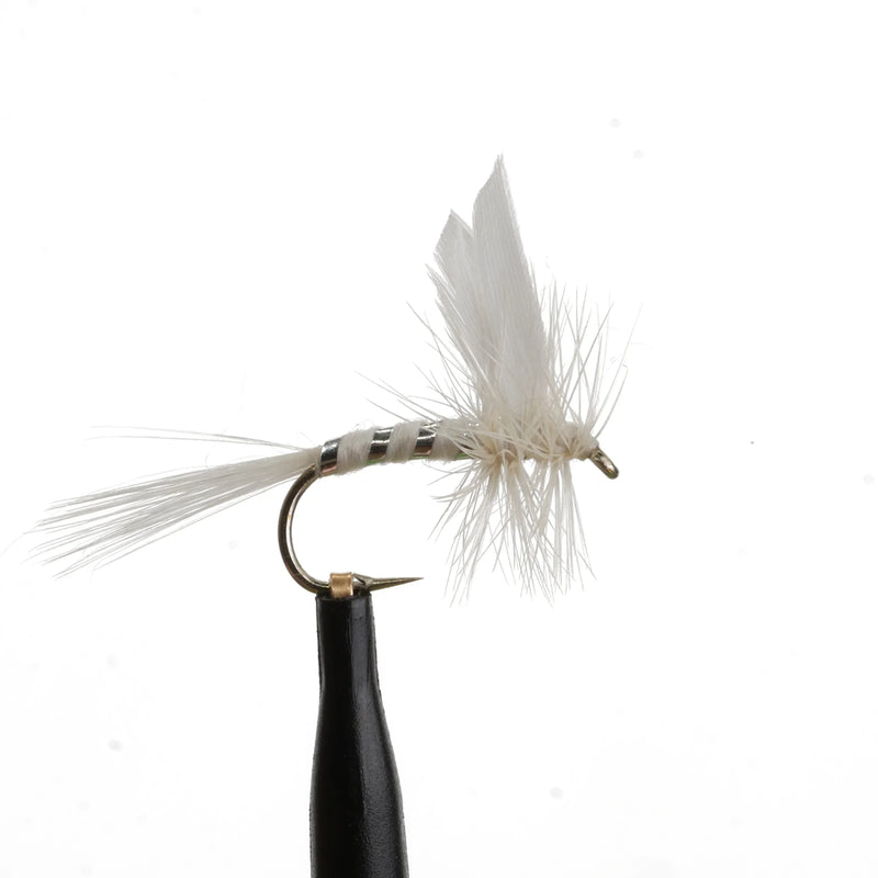 White Miller Natural