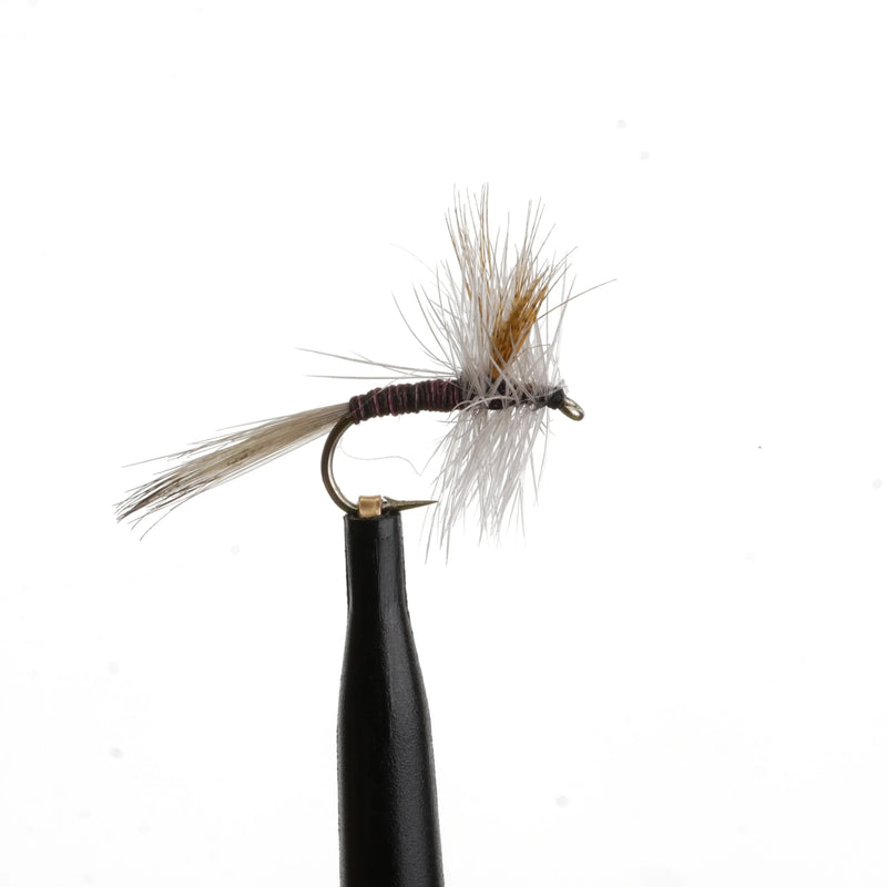 Red Quill Natural