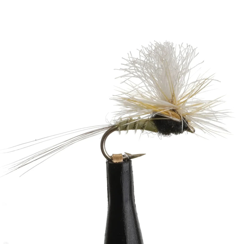 Quill Body Para Natural
