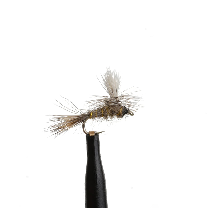 Hares Ear Para Natural