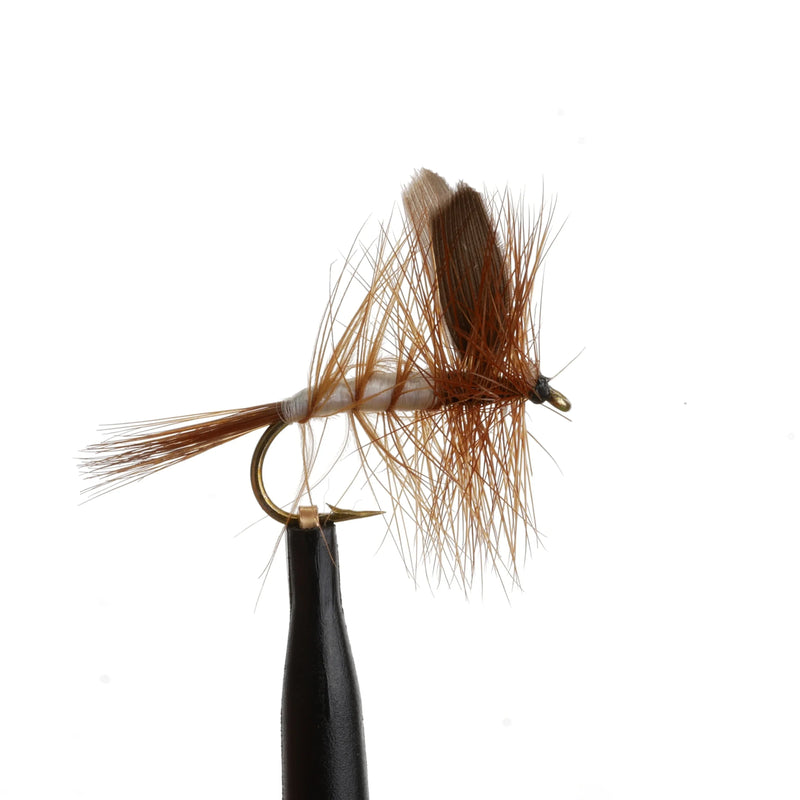 Beaverkill Natural