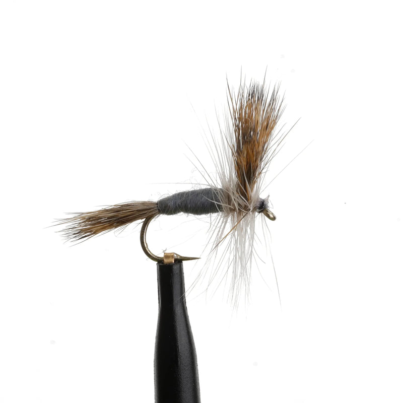 Grey Wulff Natural