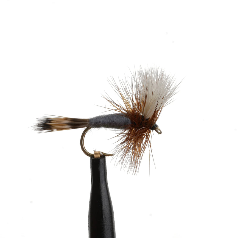 Adams Wulff Natural