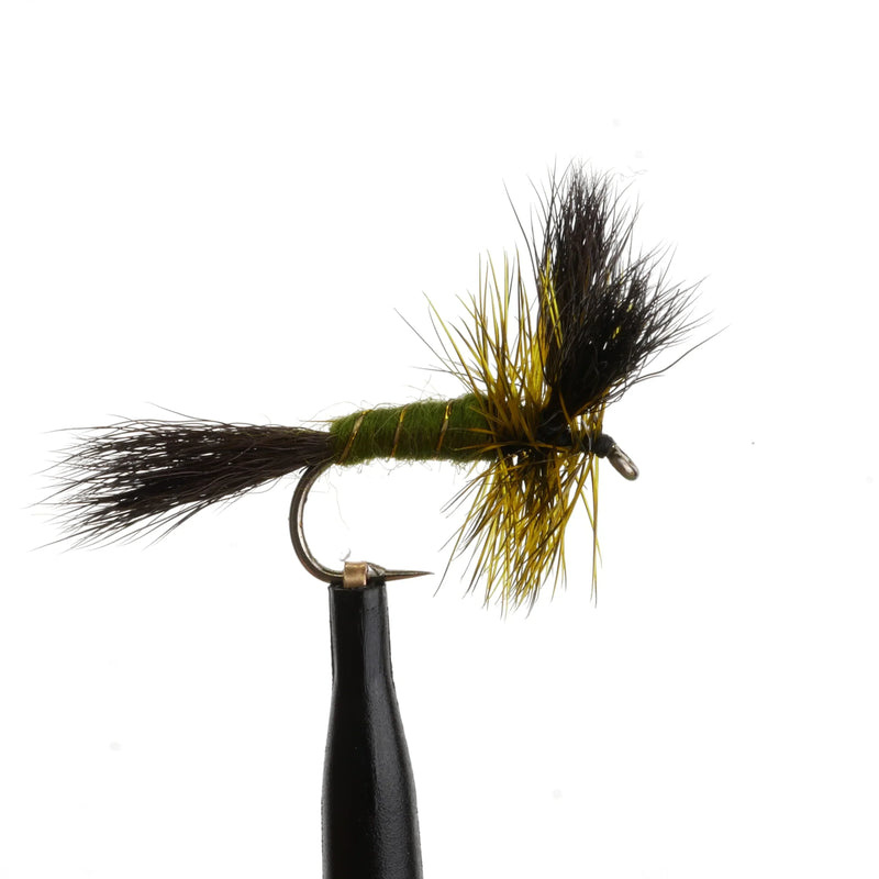 Green Drake Wulff