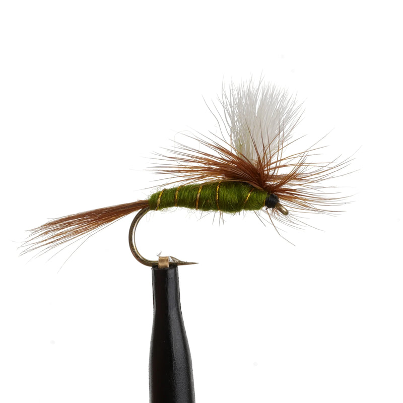 Green Drake Glory Wulff Natural
