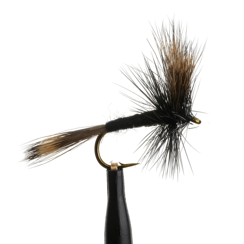 Black Hair-Wing Wulff Natural