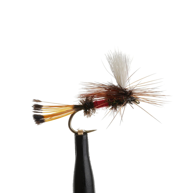 Royal Coachman Para Natural