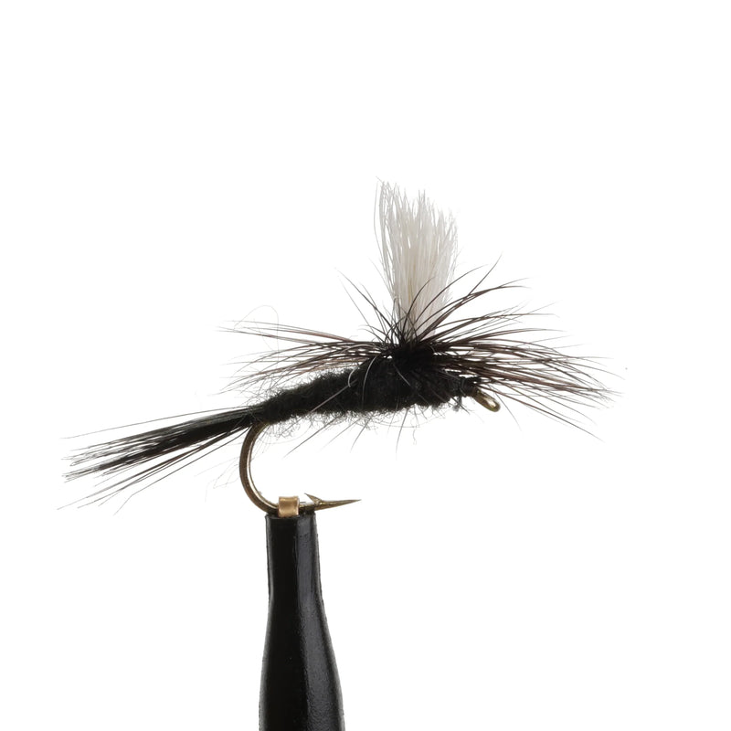 Black Gnat Para Natural