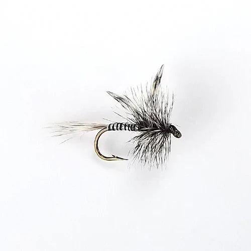 Mosquito Gnat Natural