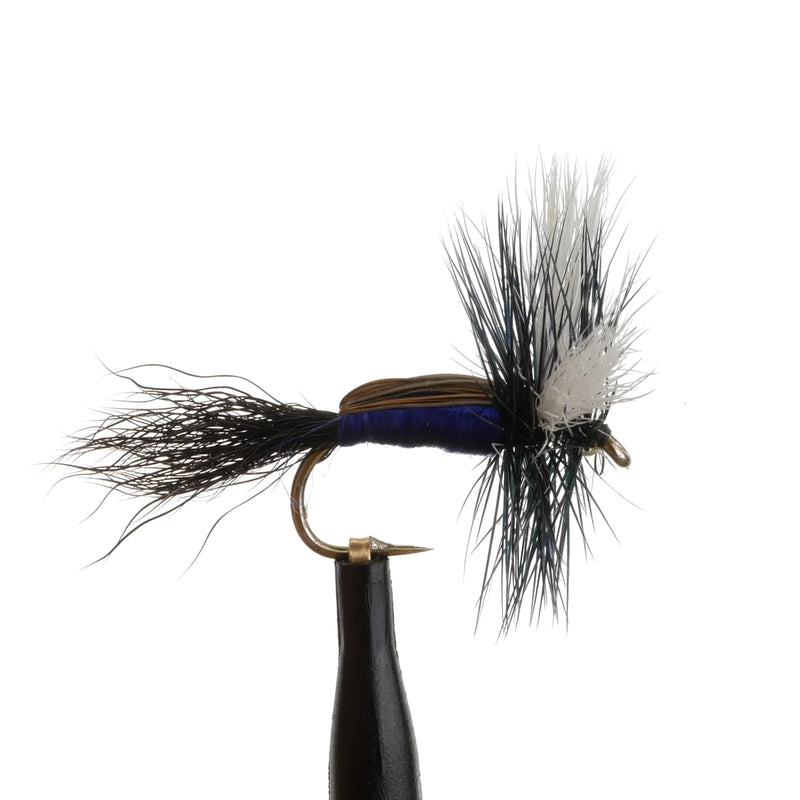 Humpy Blow-Fly Blue