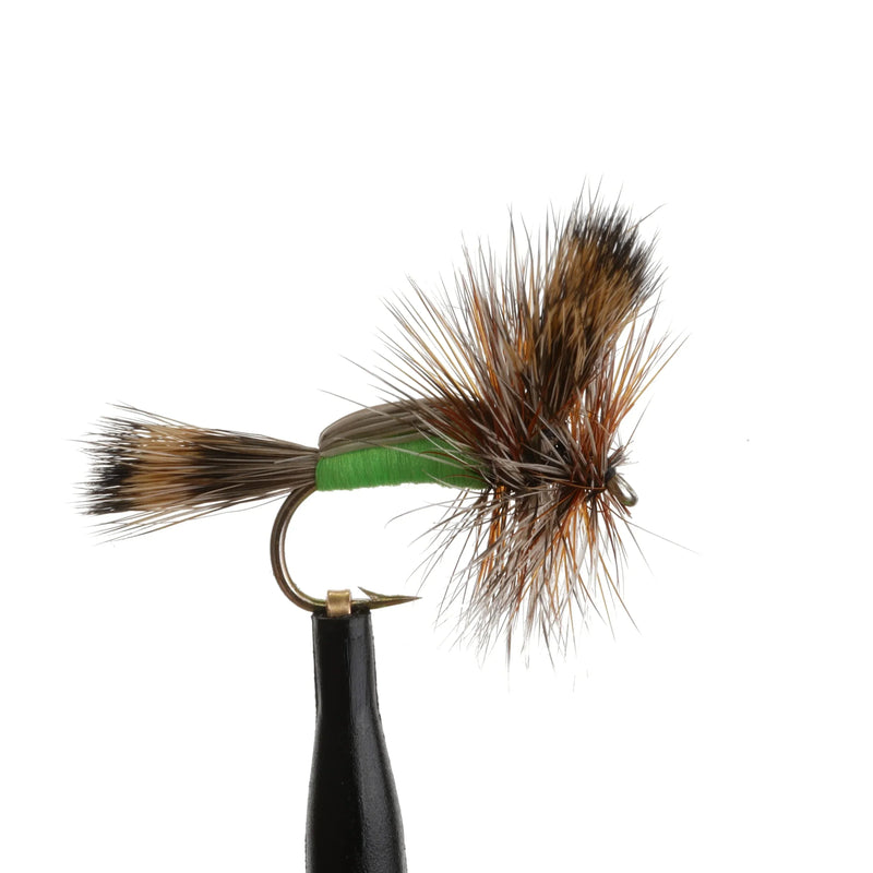 Humpy Chartreuse