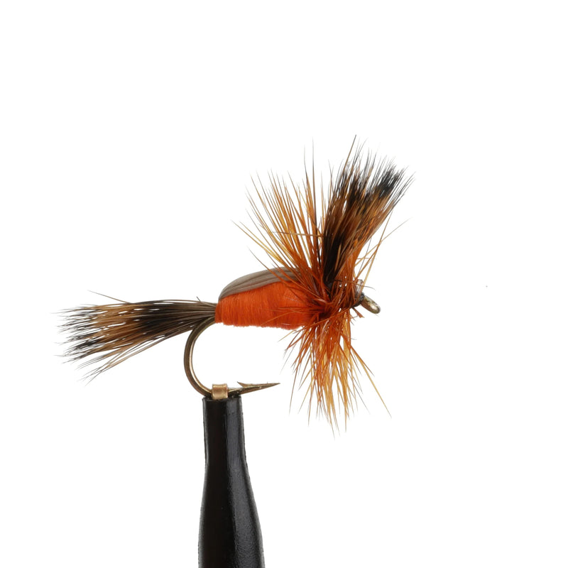 Humpy Orange