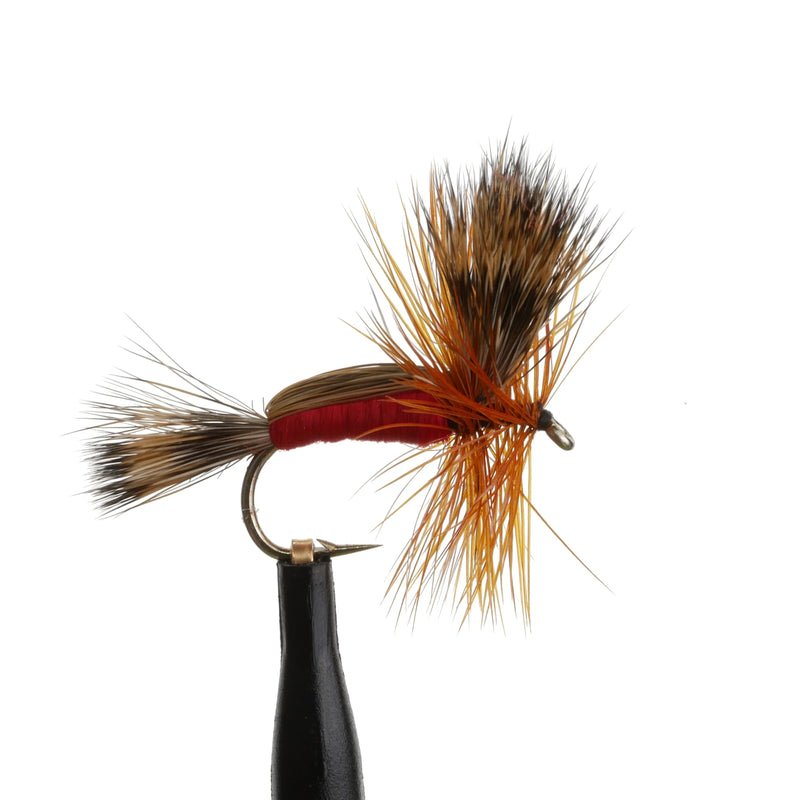 Humpy Red