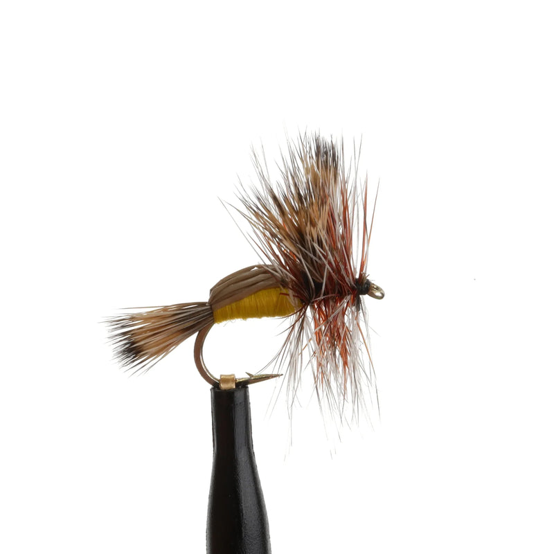 Humpy Yellow