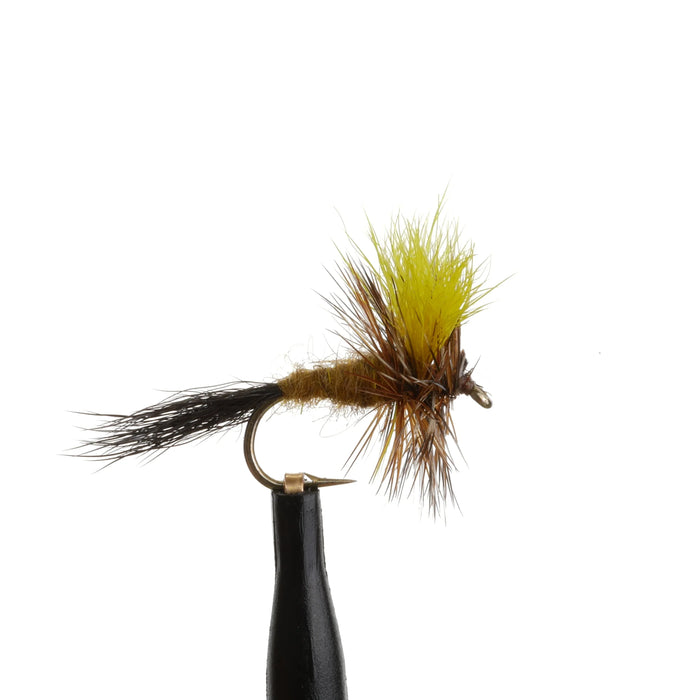 Mr Rapidan Natural