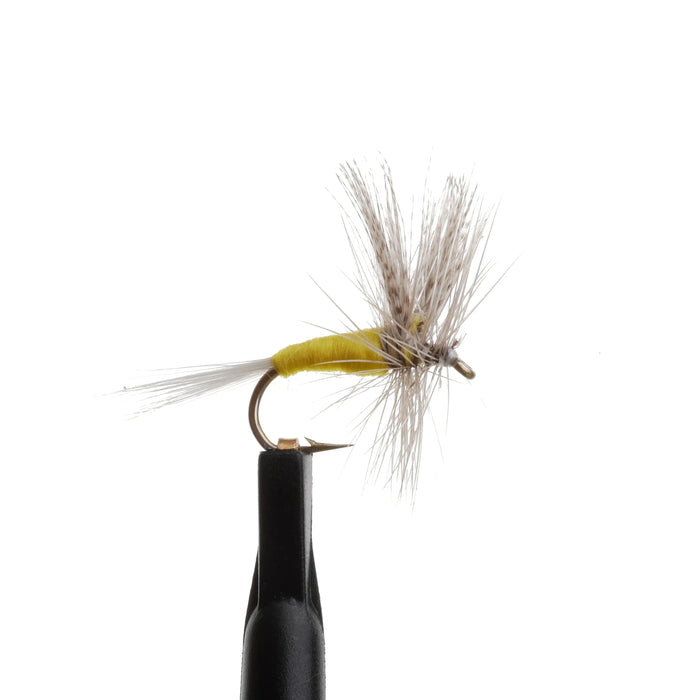 Sulphur Dun Yellow