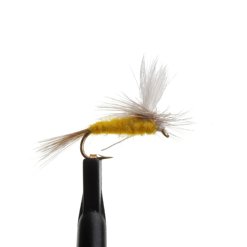 Parachute Sulphur Dun Golden