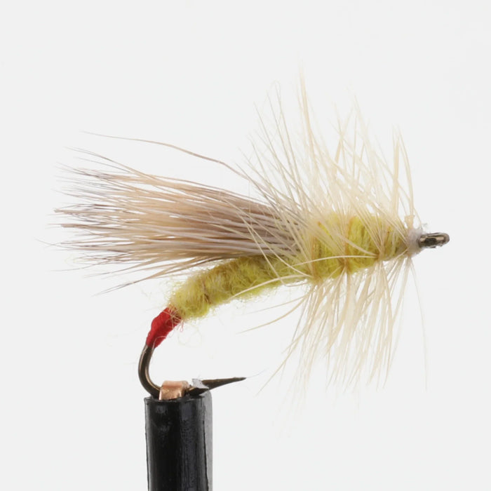 Yellow Sally