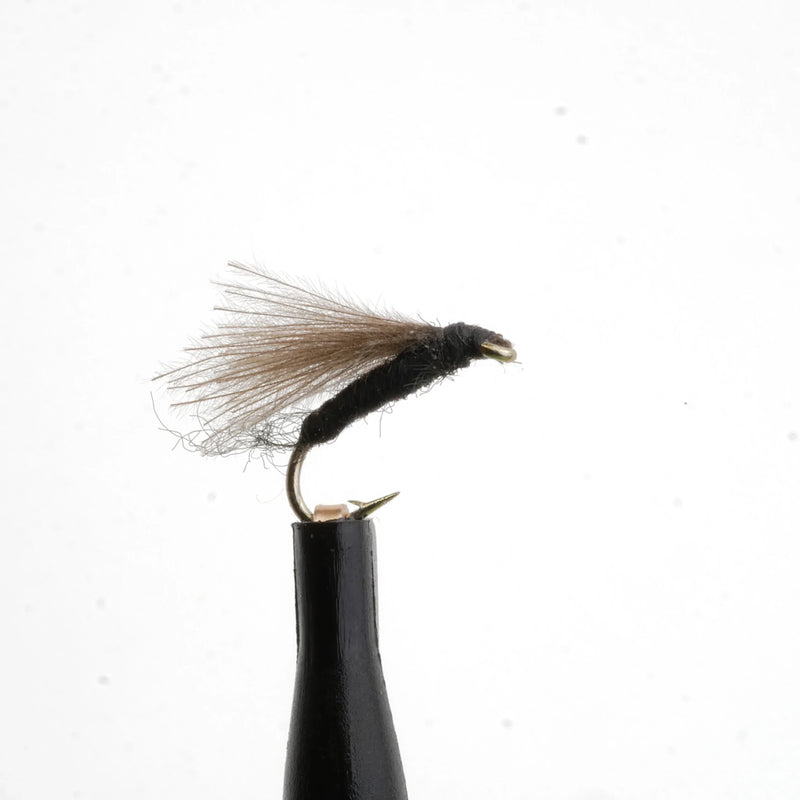 F Fly