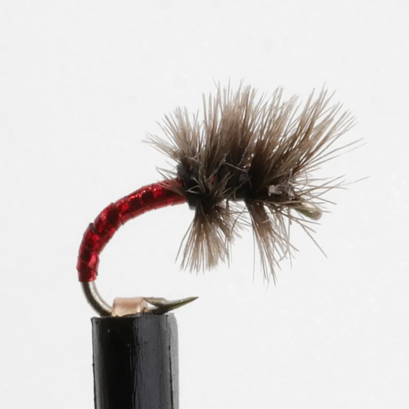 Disco Midge Red