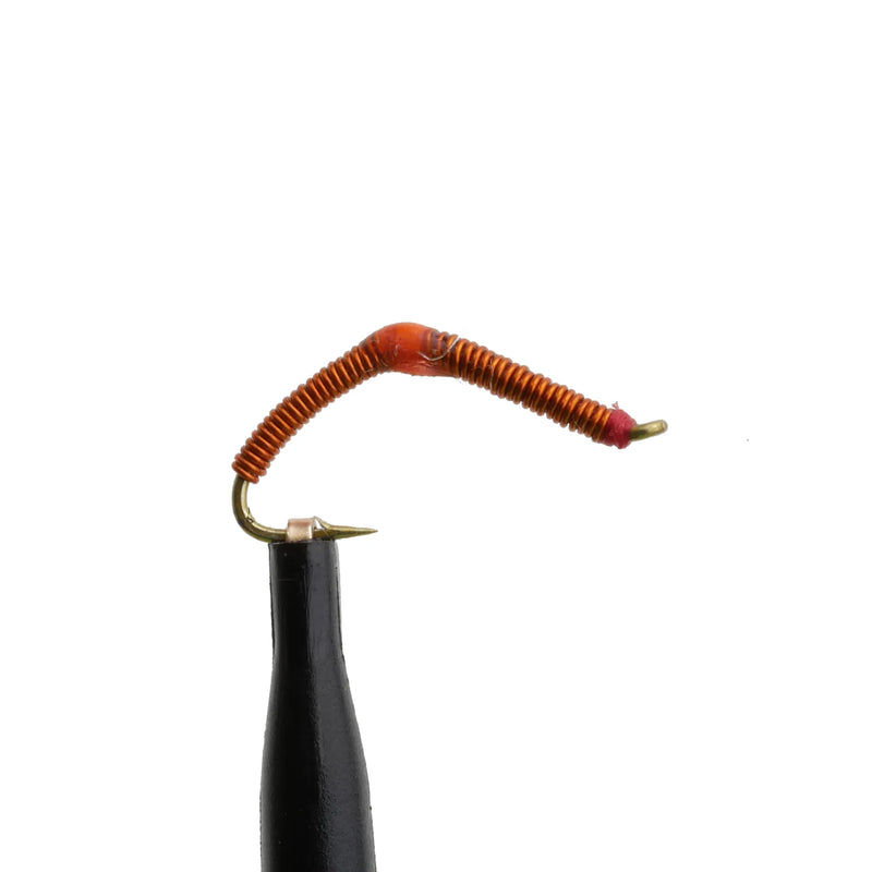 Nightcrawler Brown