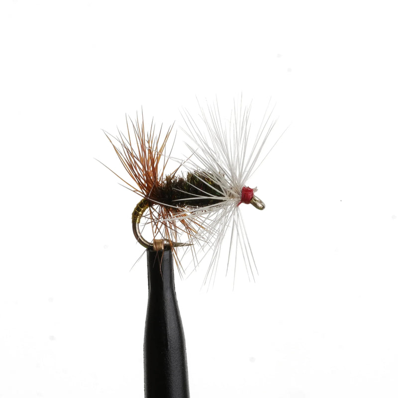 Renegade Natural