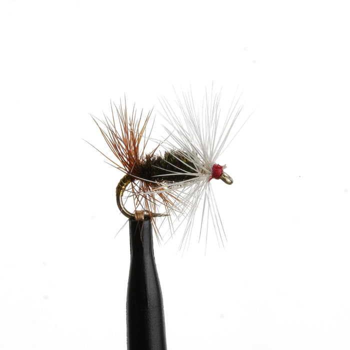 Renegade Natural