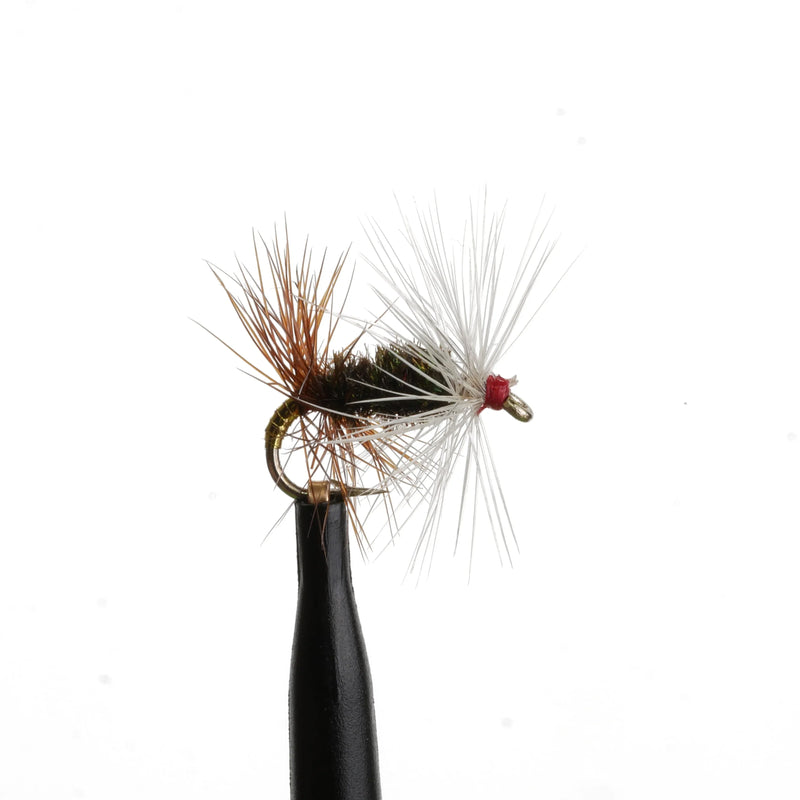 Renegade Natural