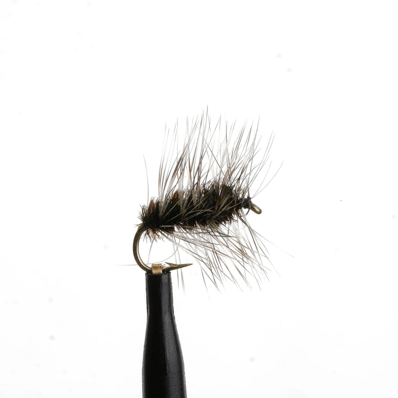 Griffith's Gnat Natural