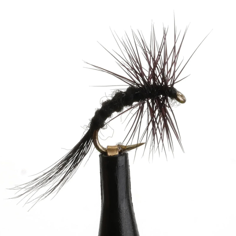 Dry Midge Black Curved