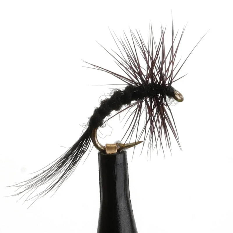 Dry Midge Black Curved