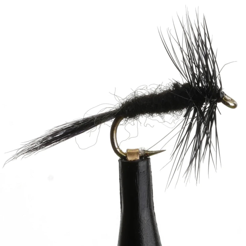 Dry Midge Black