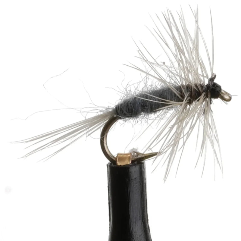 Dry Midge Gray