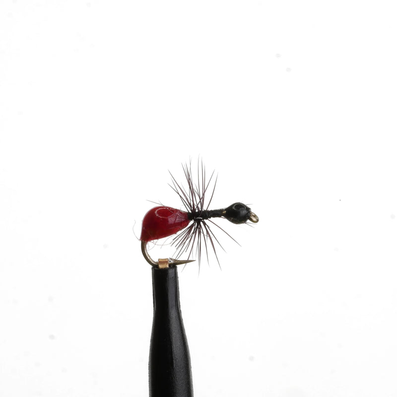Epoxy Ant Black/Red