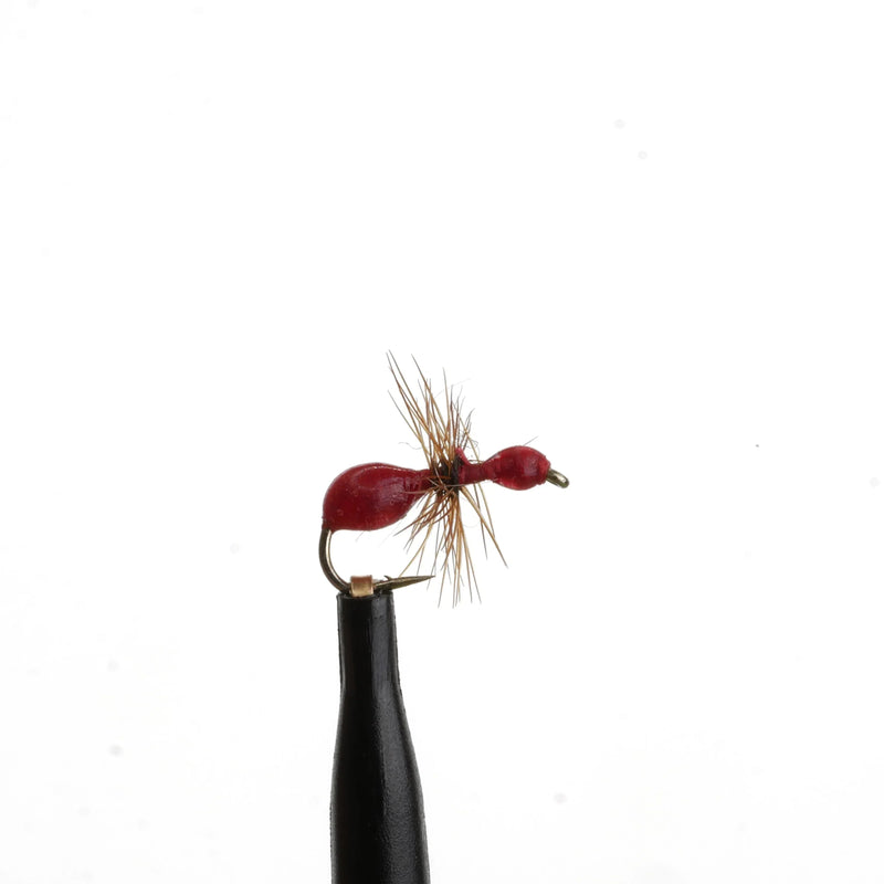Epoxy Ant Red